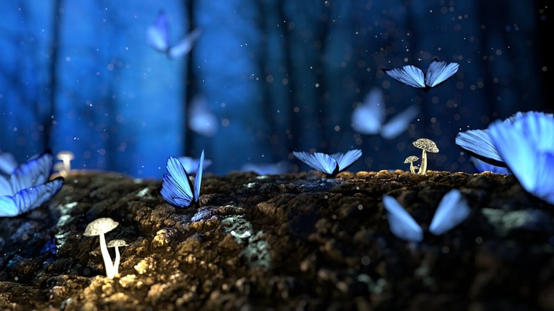 Enchanted Petals
